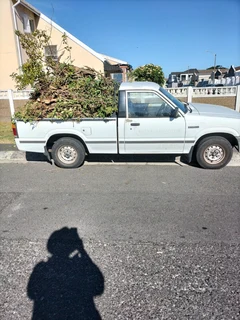 Tree Felling and Garden Services