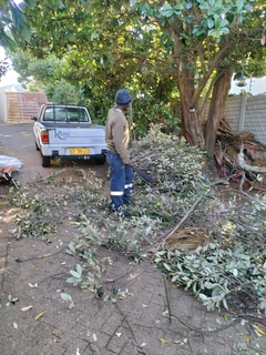 GARDEN SERVICES AND TREE FELLING