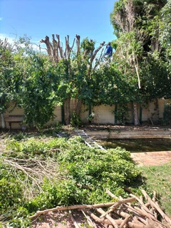 GARDEN SERVICES AND TREE FELLING