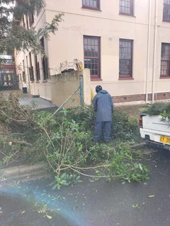 GARDEN SERVICES AND TREE FELLING