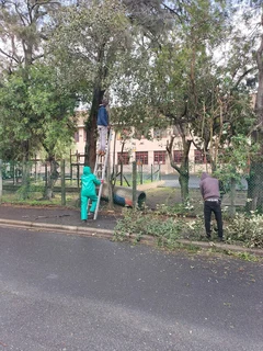 GARDEN SERVICES AND TREE FELLING