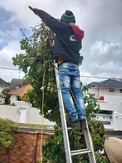 GARDEN SERVICES AND TREE FELLING