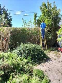 GARDEN SERVICES AND TREE FELLING