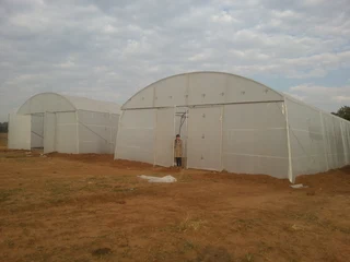 Second Hand 30m x 10m Greenhouse Tunnels for sale