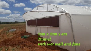 Greenhouse Tunnels- Cooling  System with Fans