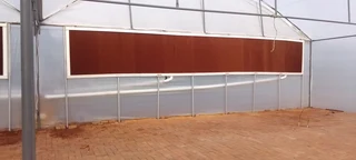 Greenhouse Tunnels- Cooling  System with Fans