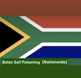 Pre-Construction Soil Poisoning