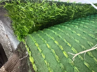 1 Roll Of Artificial Grass Mat