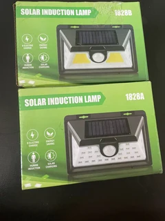 Solar induction Lamp