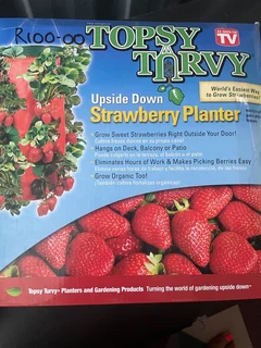 Strawberry Planter
