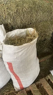 A grade Lucerne bags