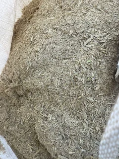 BARLEY (50kg sized bags)