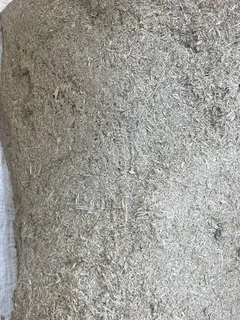 BARLEY (50kg sized bags)