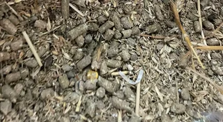 Rough mix animal feed