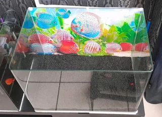 Fish Tank