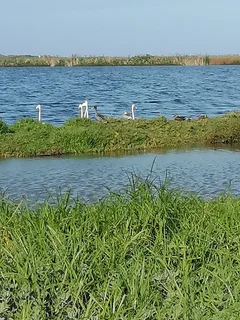 Upstairs space available