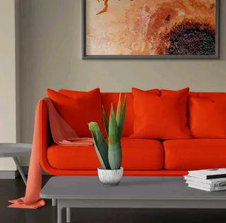 Pro-aesthete Interiors & Construction (Pty. Ltd.