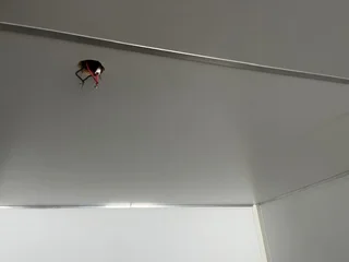 Semi Fitted Shipping Container for sale in Gauteng