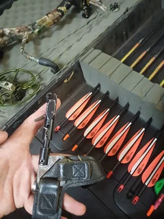 Bear carnage compound bow