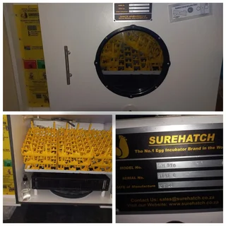 Egg incubator for sale