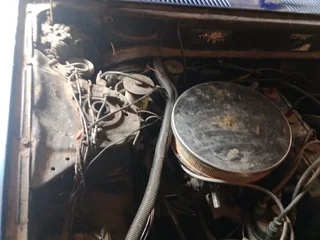 Toyota Corolla sprinter collectors