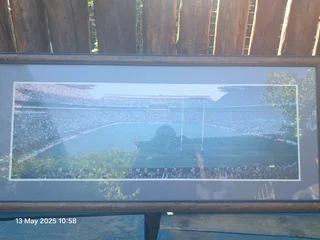 SA vs NZ World cup final 1995 portrait