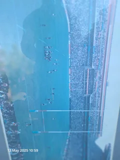 SA vs NZ World cup final 1995 portrait