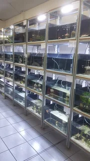 Exceptional Business Opportunity in the Heart of Zululand-Pet Shop for Sale in Richards Bay