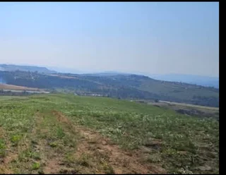 Looking for land packed with potential