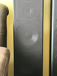 Sony tallboys speakers.