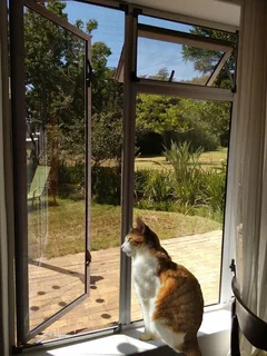 Keep your cats safely inside, keep stray cats OUT!!! visit www.bug-out.co.za