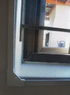 Keep your cats safely inside, keep stray cats OUT!!! visit www.bug-out.co.za