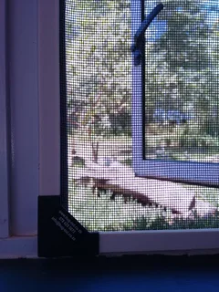 Bug Out - Magnetic Insect Screens AT Mega Paints Eastgate : Dumo 011 616 4129