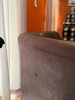 L-Shape Sofa with Otto