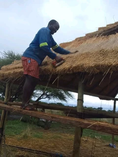 Thatch and Lapa Repair