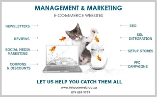 Digital Marketing Services – ROI for Your Business