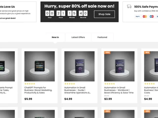 Online Ecommerce Business