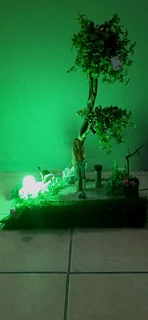 In the spotlihgt event for hire