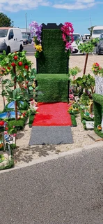 In the spotlihgt event for hire