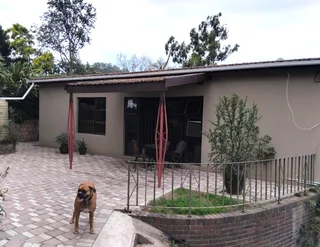 Newly renovated studio apartment with own patio and garden area. Wi-fi incl. Avail imm