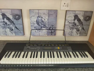 Casio CTK - 2500 (Keyboard) - (Neg.)