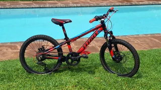 Mountain Bike (childrens)