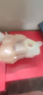 Ford fiesta water bottle