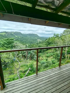 1 bedroom flat to rent in Drummond