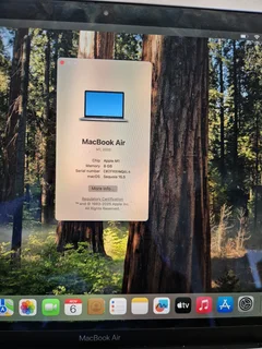 M1 MacBook Air (236 cycles) BARGAIN!!!