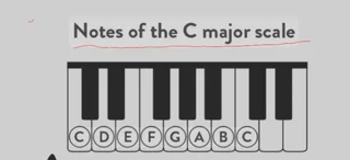 Practical Music Instrument Lessons