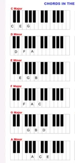 Practical Music Instrument Lessons