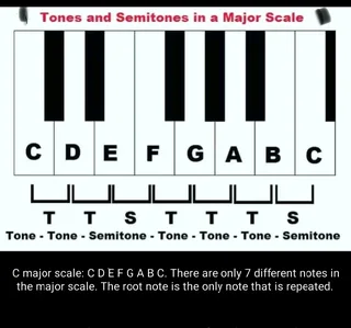 Practical Piano or Guitar Lessons.