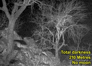 Night vision spotter scope