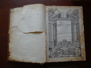 Antique Dutch/Afrikaans Bible 1868